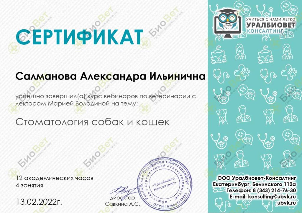Мосичкова (Салманова) Александра Ильинична