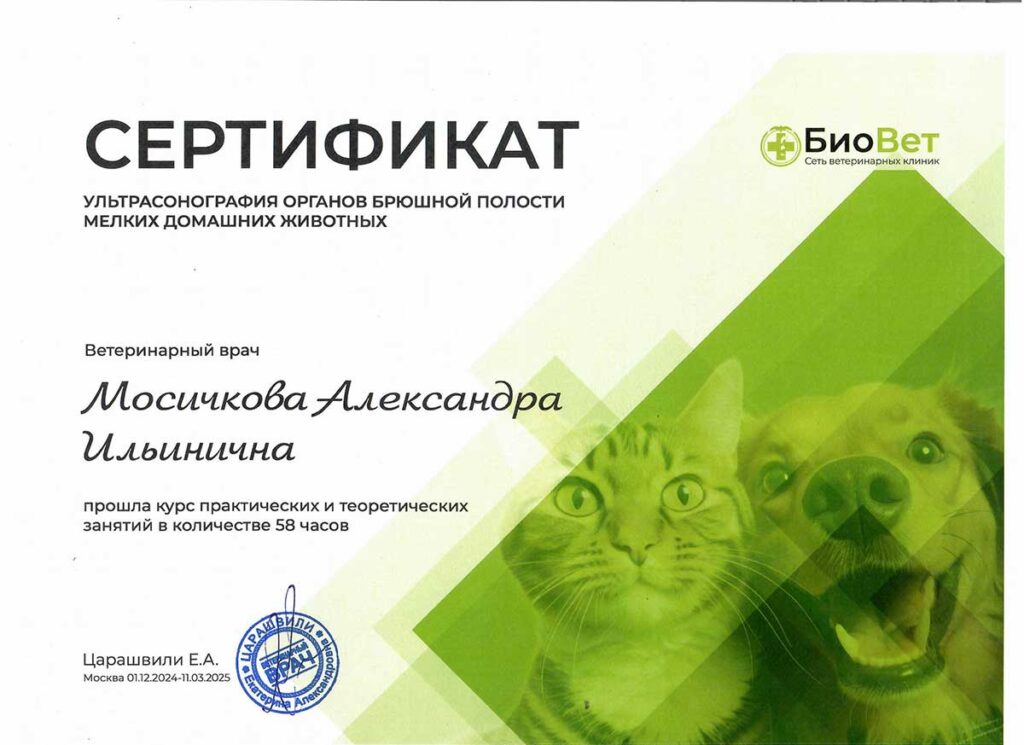Мосичкова (Салманова) Александра Ильинична