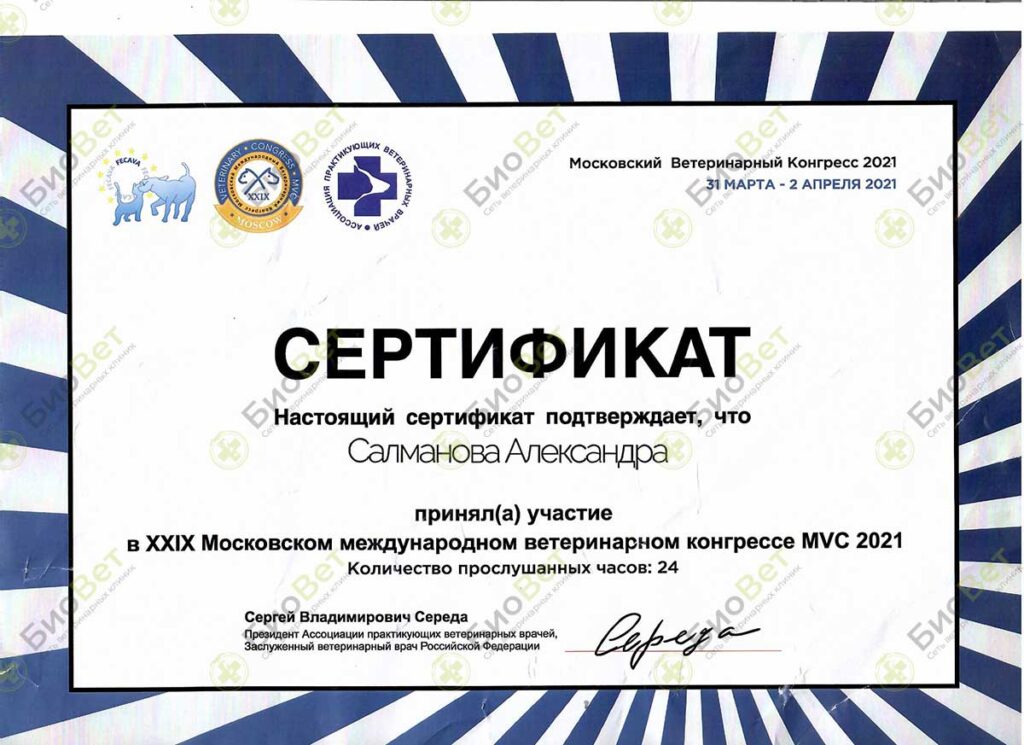 Мосичкова (Салманова) Александра Ильинична