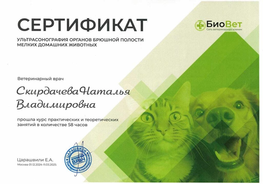 Скирдачева Наталья Владимировна