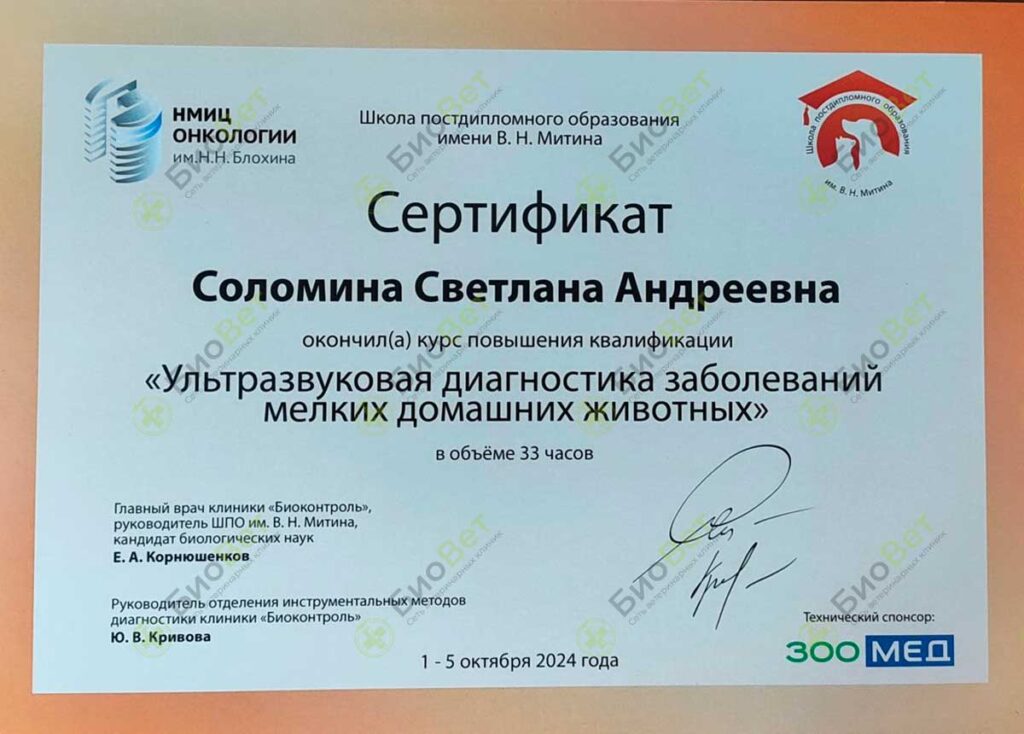 Соломина Светлана Андреевна