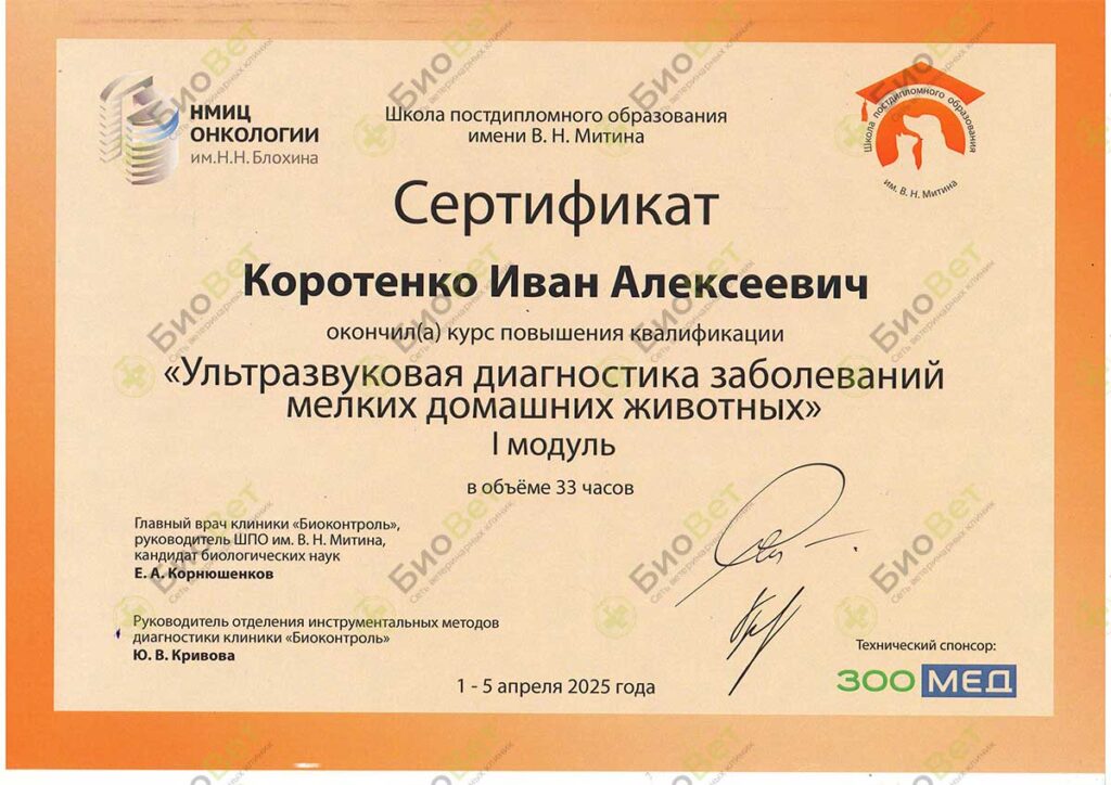 Коротенко Иван Алексеевич