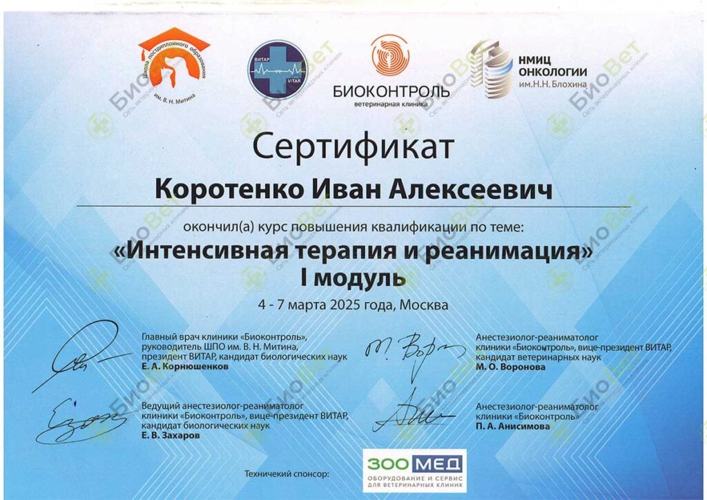 Коротенко Иван Алексеевич