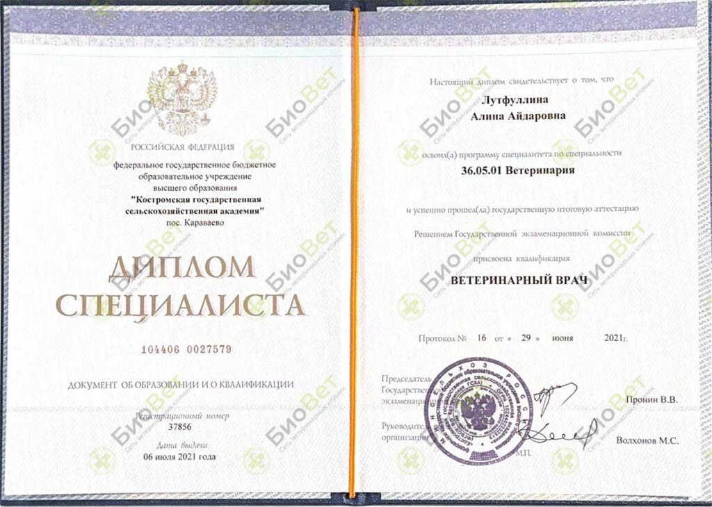 Усова Алина Айдаровна