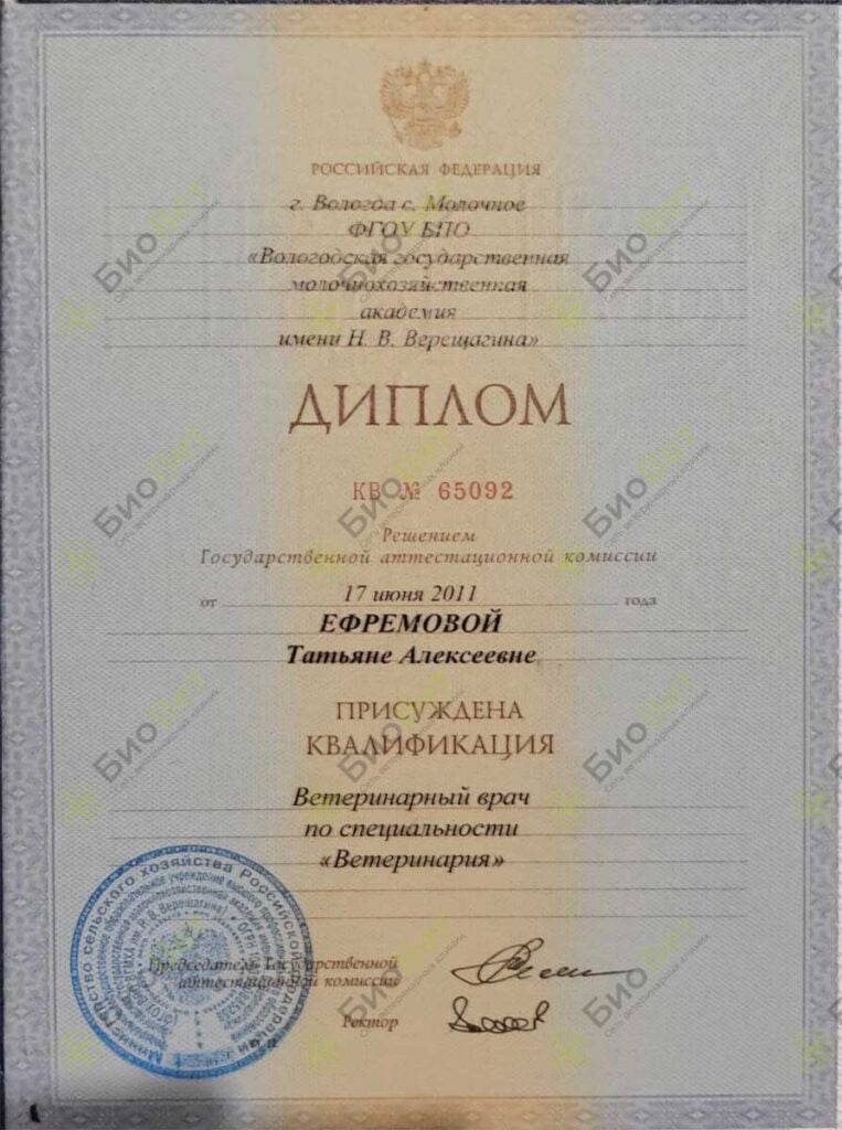 Ефремова Татьяна Алексеевна