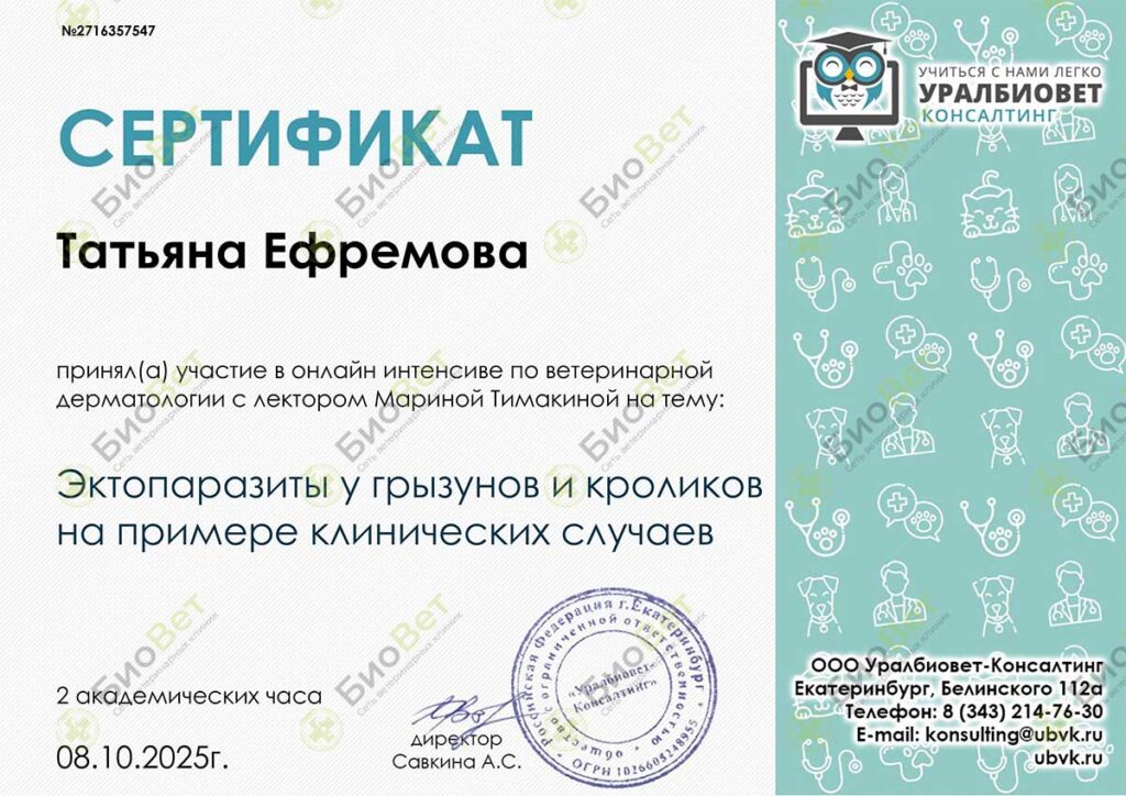 Ефремова Татьяна Алексеевна