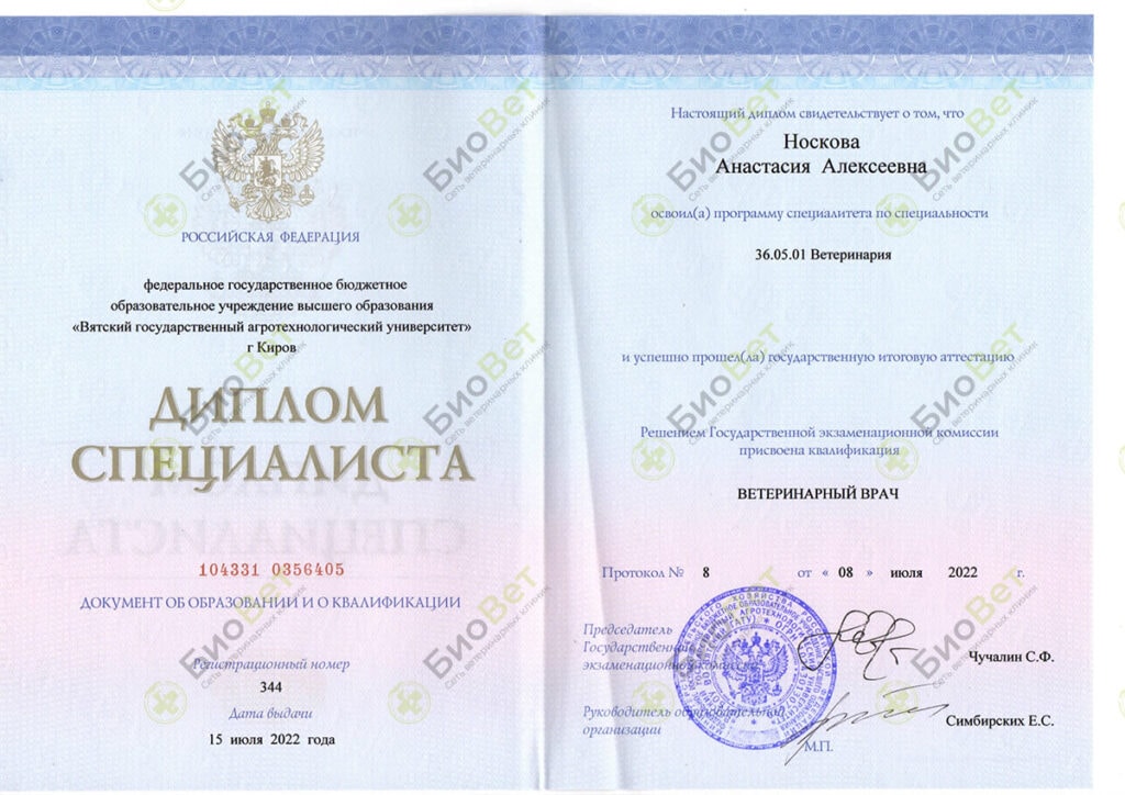 Сунгурова Анастасия Алексеевна