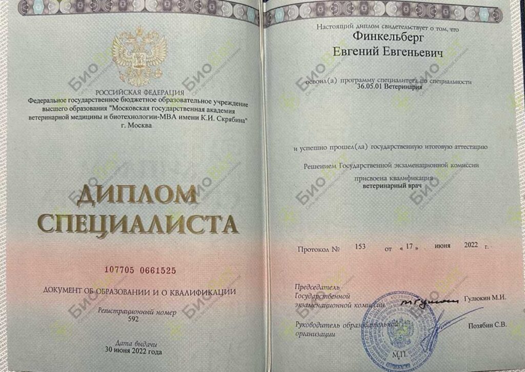Финкельберг Евгений Евгеньевич