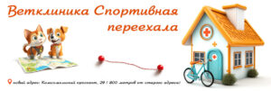 Ветклиника Спортивная переехала