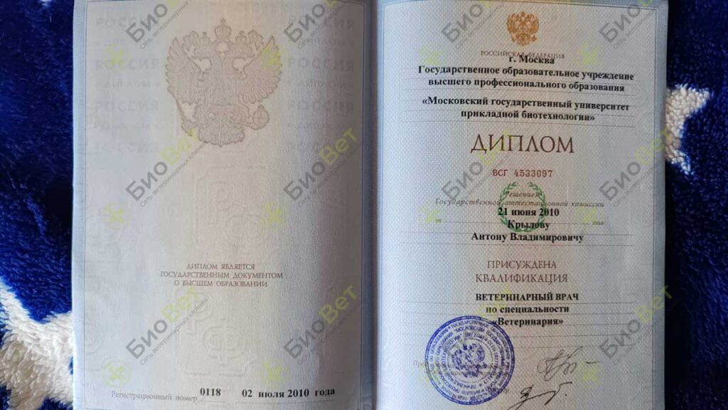 Крылов Антон Владимирович