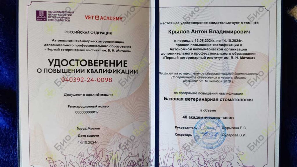 Крылов Антон Владимирович