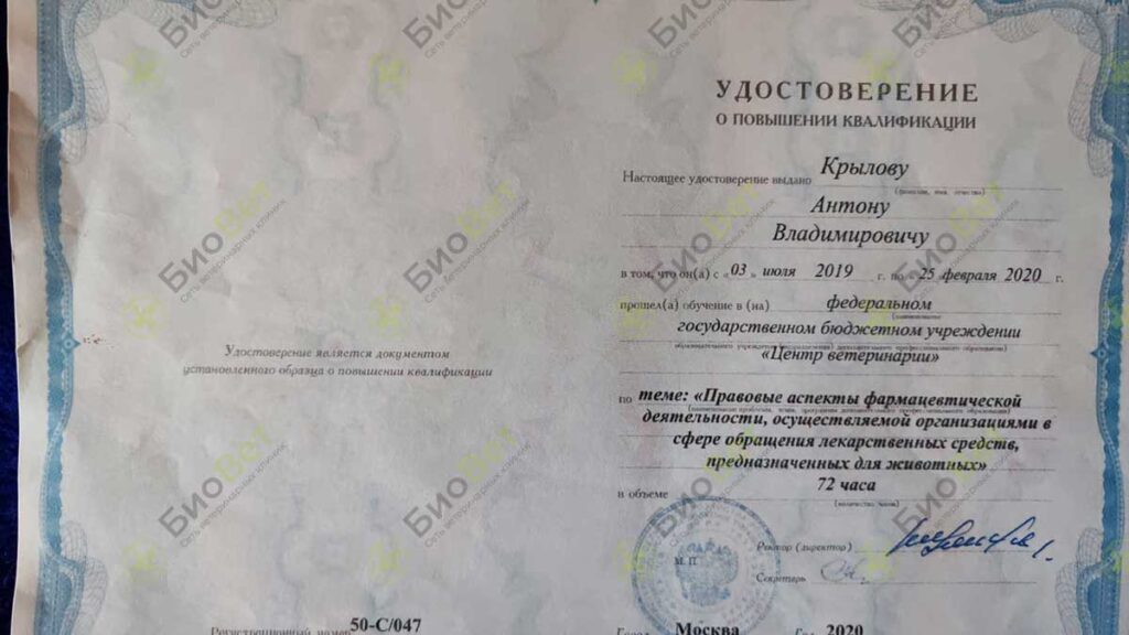 Крылов Антон Владимирович
