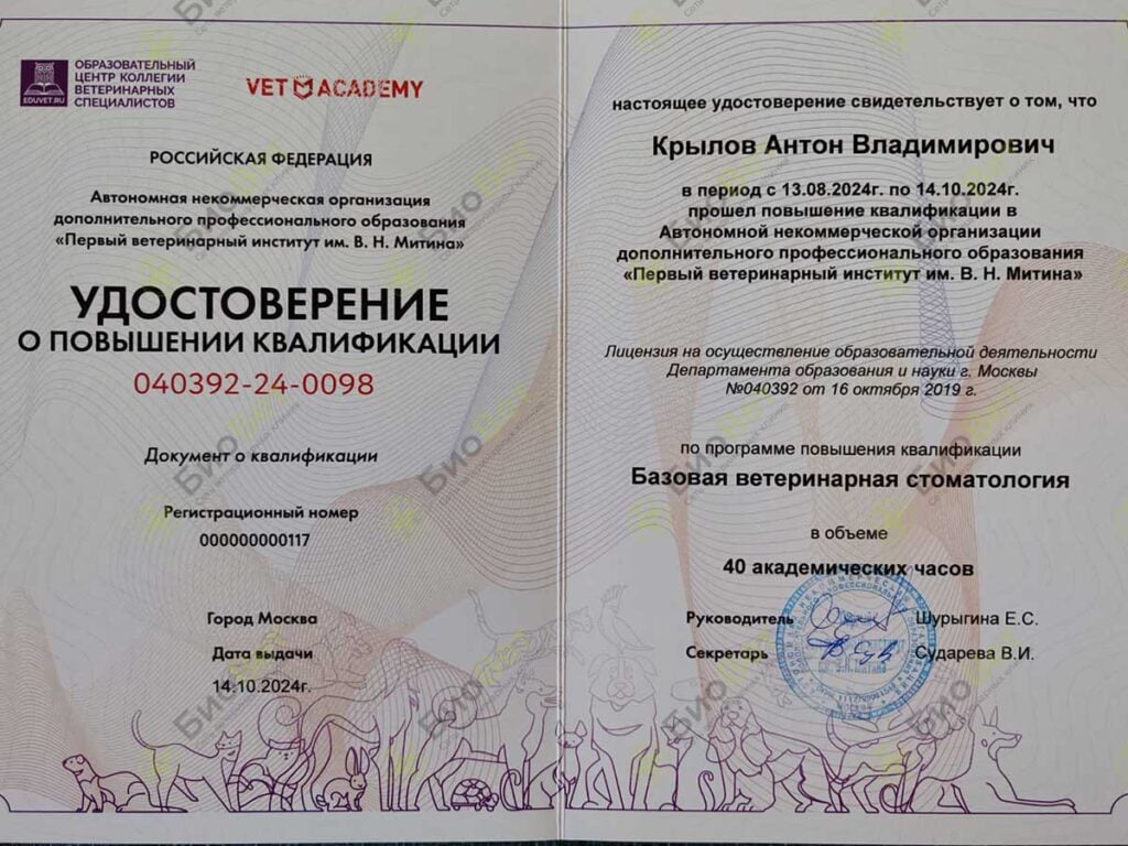 Крылов Антон Владимирович