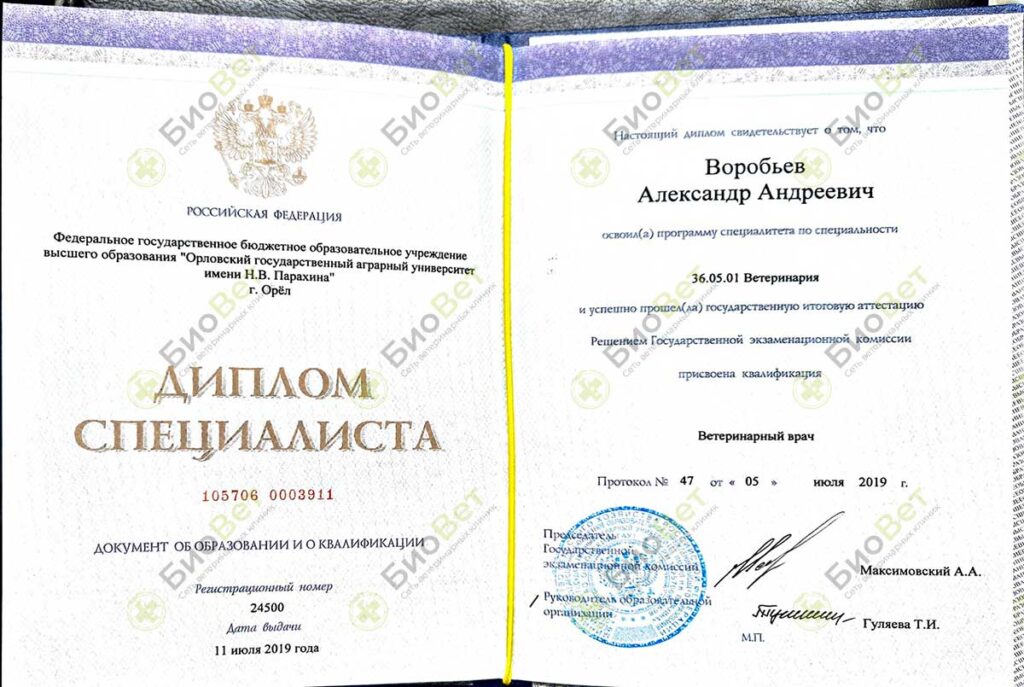 Воробьев Александр Андреевич