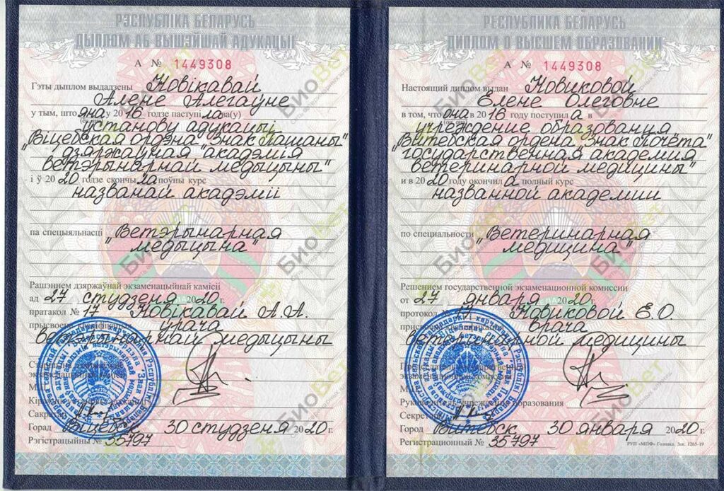 Новикова Алена Олеговна