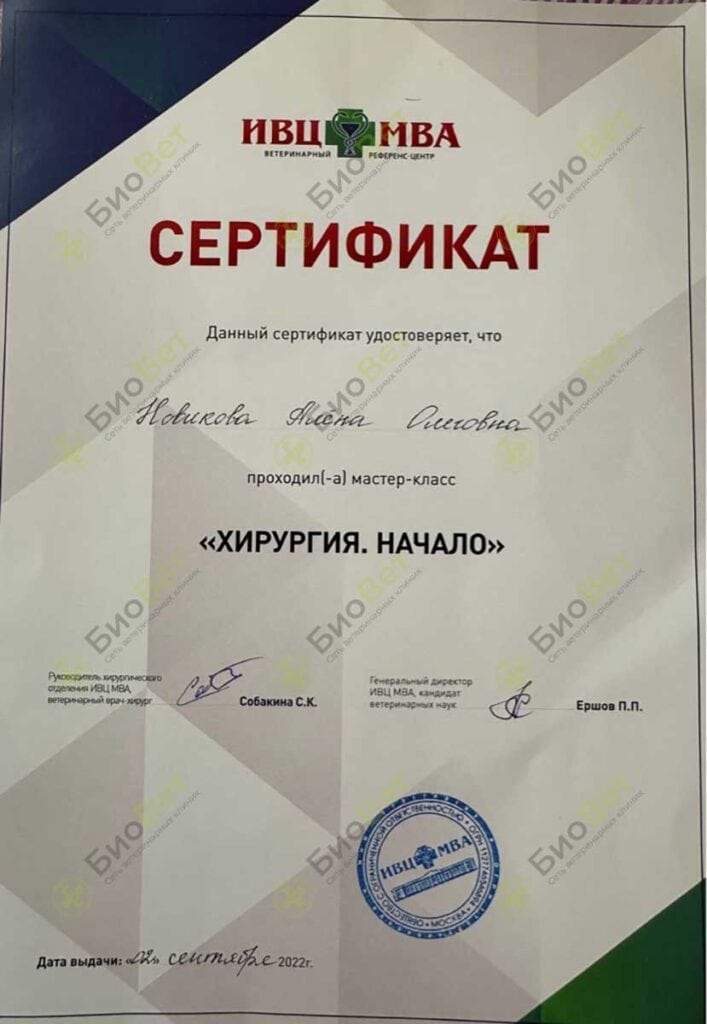 Новикова Алена Олеговна