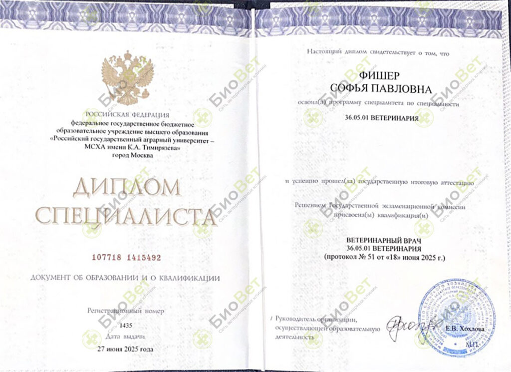 Фишер Софья Павловна