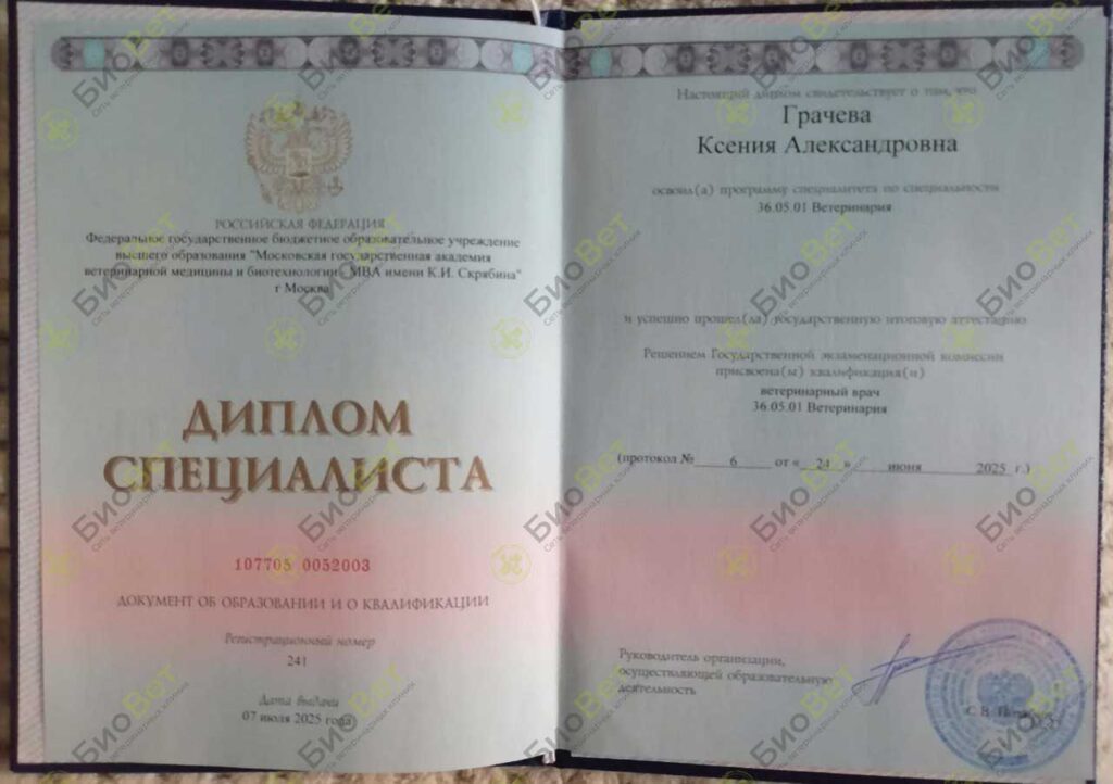 Грачева Ксения Александровна
