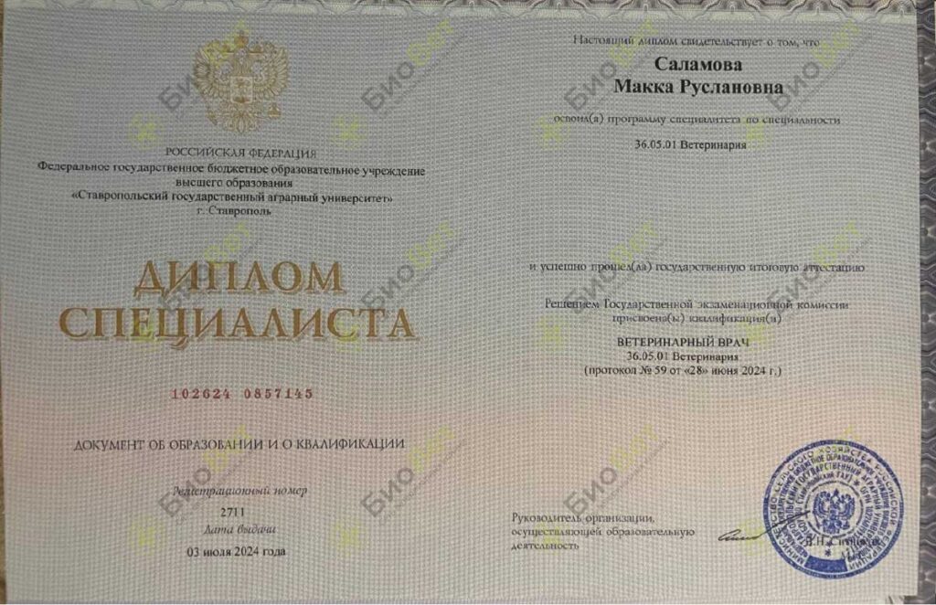 Саламова Макка Руслановна