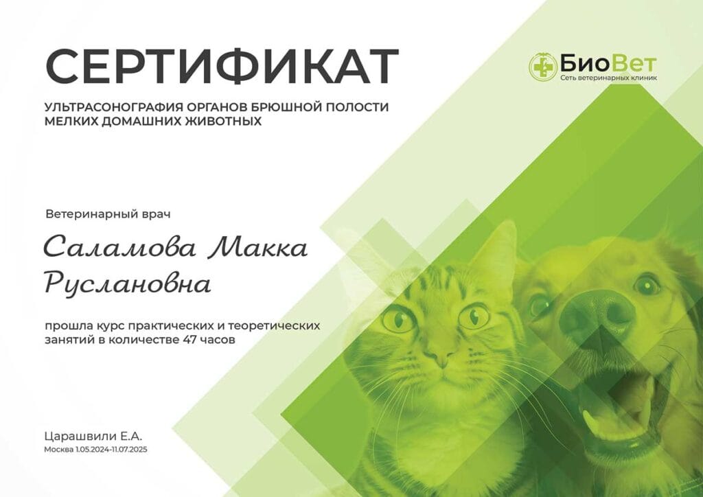 Саламова Макка Руслановна