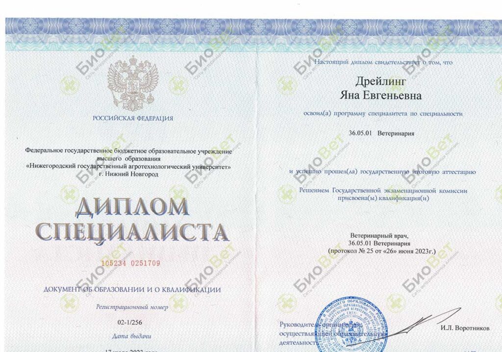 Дрейлинг Яна Евгеньевна