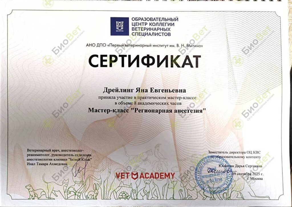 Дрейлинг Яна Евгеньевна