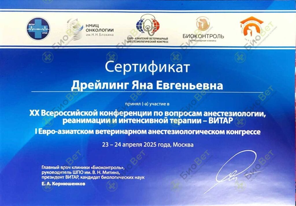 Дрейлинг Яна Евгеньевна