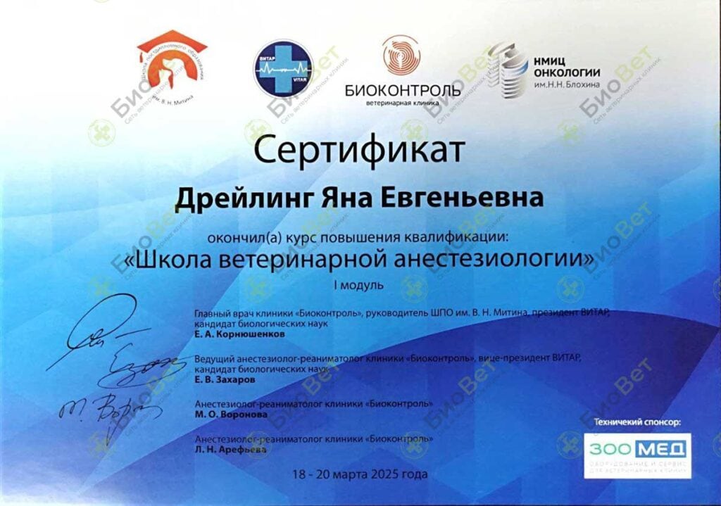 Дрейлинг Яна Евгеньевна