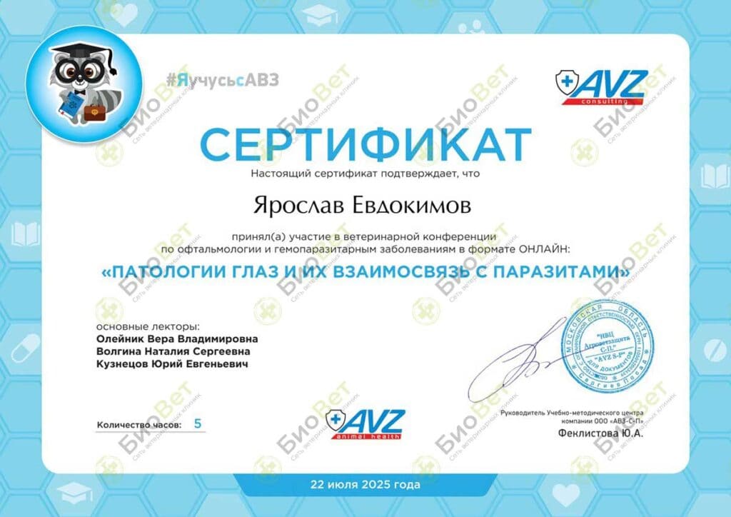 Евдокимов Ярослав Владимирович