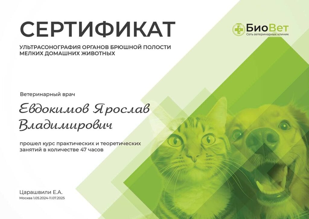 Евдокимов Ярослав Владимирович