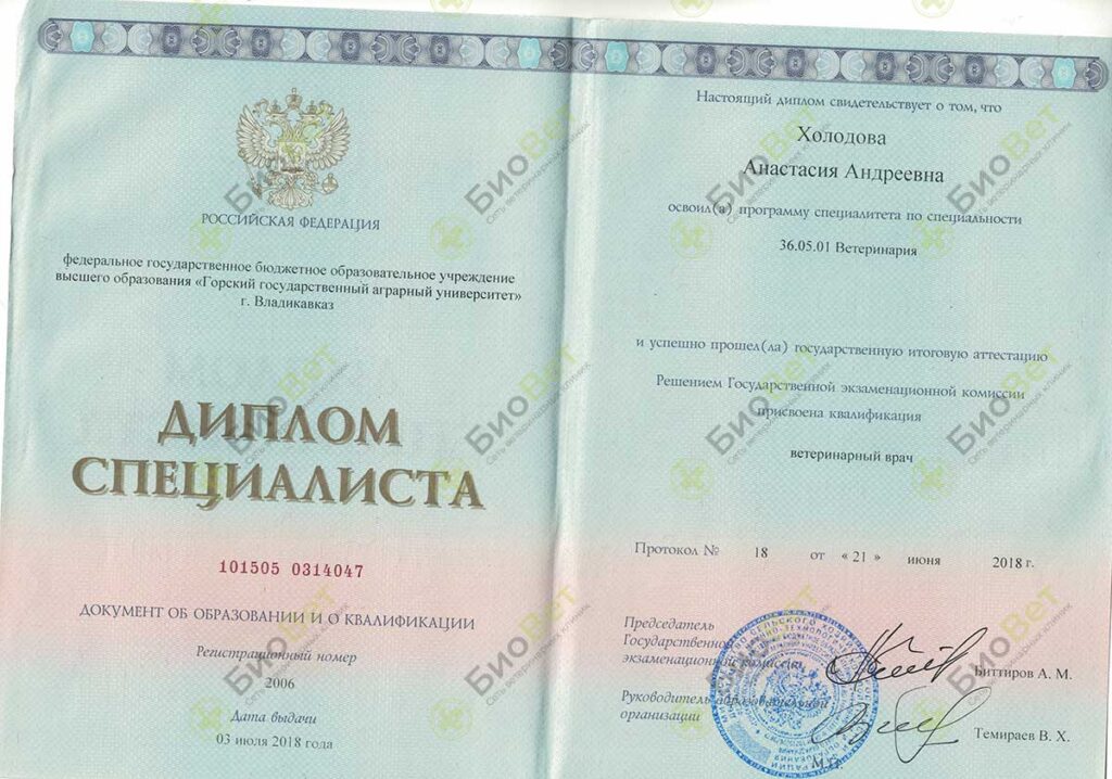 Холодова Анастасия Андреевна