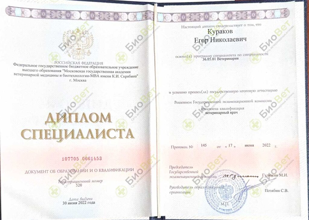 Кураков Егор Николаевич