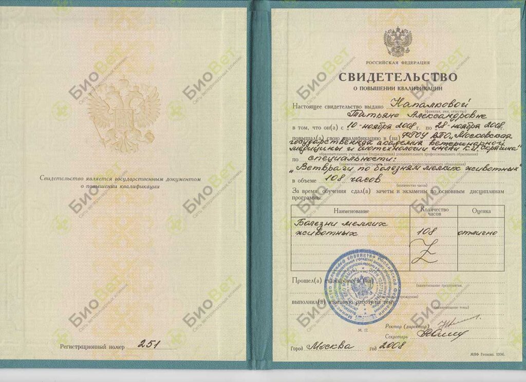 Напалкова Татьяна Александровна