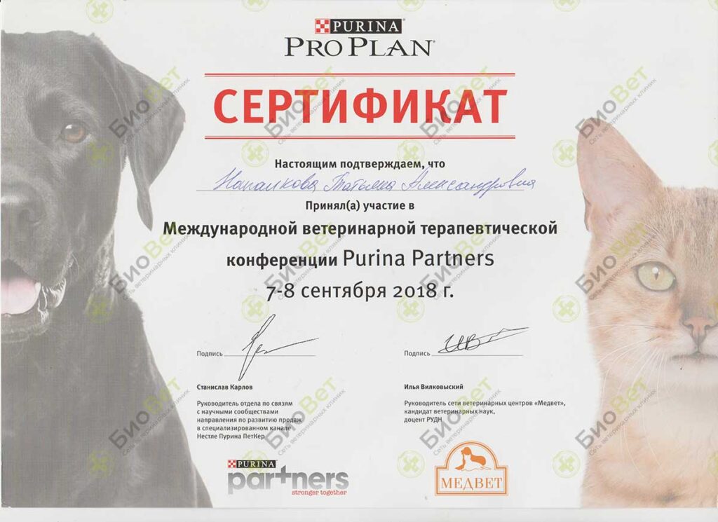 Напалкова Татьяна Александровна