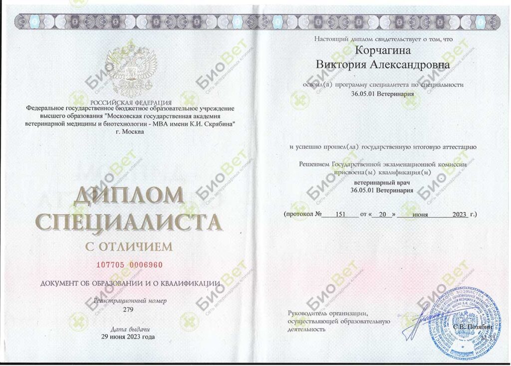 Корчагина Виктория Александровна